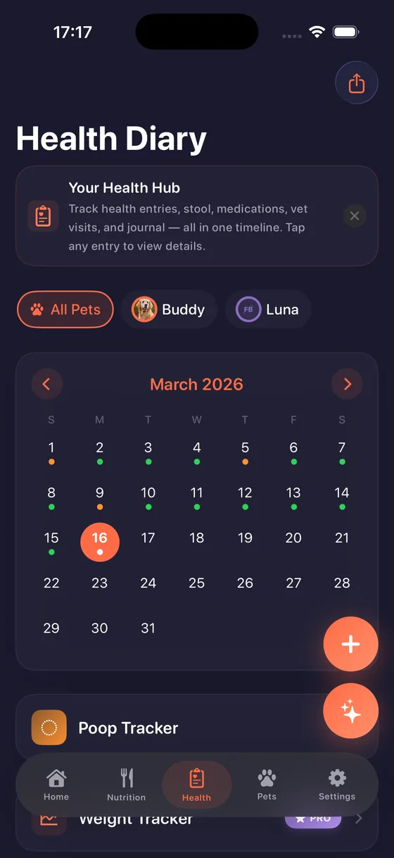 Health Diary