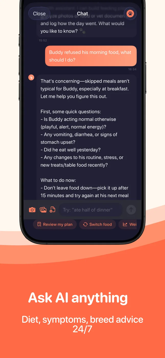 Ask AI anything — diet, symptoms, breed advice 24/7